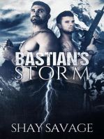 Bastian's Storm: Surviving Raine, #2