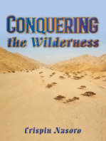 Conquering the Wilderness