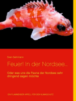 Feuer! In der Nordsee...: Oder was uns die Fauna der Nordsee sehr dringend sagen möchte