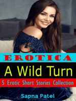 Erotica: A Wild Turn: 5 Erotic Short Stories Collection