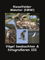 Rieselfelder - Münster (NRW): Vögel beobachten & fotografieren III