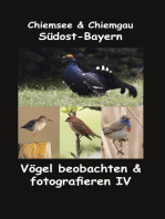 Chiemsee & Chiemgau Südost-Bayern: Vögel beobachten & fotografieren IV