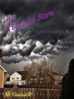 Life; A Beautiful Storm