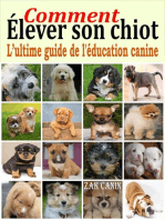 Comment élever son chiot : l’ultime guide de l'éducation canine