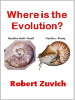 Where is the Evolution?