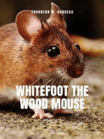 Whitefoot the wood mouse