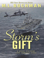 Storm’s Gift