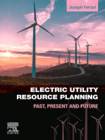 Electric Utility Resource Planning: Past, Present and Future