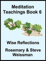 Meditation Teachings Book 6, Wise Reflection
