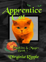Apprentice Cat