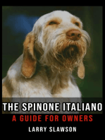 The Spinone Italiano: A Guide for Owners