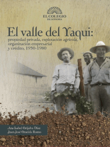 El Valle del Yaqui: propiedad privada, explotación agrícola ...
