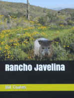 Rancho Javelina