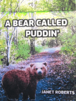 A Bear called Puddin