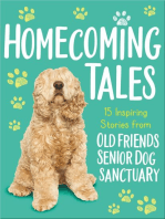 Homecoming Tales: 15 Inspiring Stories from Old Friends Senior Dog Sanctuary