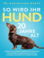 So wird Ihr Hund 20 Jahre alt: Hunde-Aging-Experte verrät, was Hunde und Welpen wirklich brauchen, um gesund zu bleiben und deutlich länger zu leben