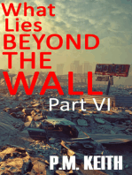 What Lies Beyond The Wall: Part VI