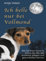 Ich belle nur bei Vollmond: Wie Sie Ihren Hund im Zyklus des Mondes ernähren, pflegen und gesund halten können