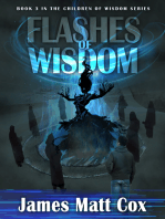 Flashes of Wisdom