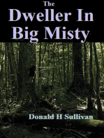 The Dweller In Big Misty