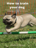 How to train your dog Training your dog has never been so easy in this book we give you the bases