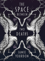 The Space Between Two Deaths