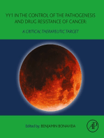 YY1 in the Control of the Pathogenesis and Drug Resistance of Cancer: A Critical Therapeutic Target