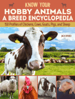 Know Your Hobby Animals a Breed Encyclopedia: 172 Breed Profiles of Chickens, Cows, Goats, Pigs, and Sheep
