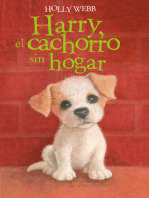 Harry, el cachorro sin hogar