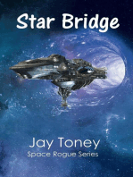 Star Bridge: Space Rogue, #5