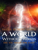 A World Without Roads