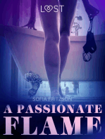 A Passionate Flame - Erotic Short Story