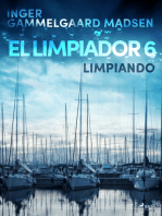 El limpiador 6: Limpiando