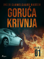 Goruća krivnja - Prvo poglavlje