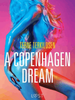 A Copenhagen Dream - erotic short story