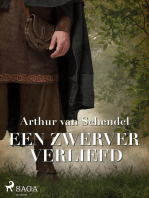 Een zwerver verliefd