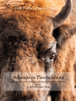 Wisente in Deutschland: Exkursion zum Rothaargebierge, Damerower Werder und in die Döberitzer Heide