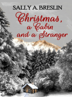 Christmas, a Cabin and a Stranger