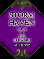Storm Haven: THE STEWARD, #4