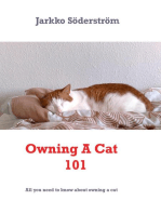 Owning A Cat 101: All you need to know about cats and owning one