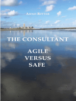 The Consultant