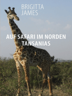 Auf Safari im Norden Tansanias: Zwei Reisereportagen