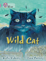 Wild Cat