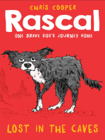 Rascal: Lost in the Caves