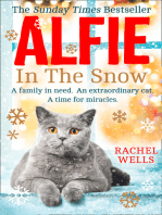 Alfie in the Snow