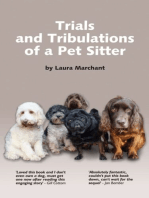 Trials and Tribulations of a Pet Sitter