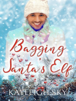 Bagging Santa's Elf