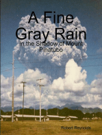 A Fine Gray Rain