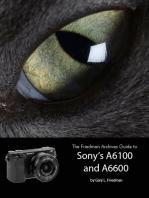 The Friedman Archives Guide to Sony's Alpha 6100 and 6600