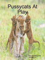 Pussycats At Play
